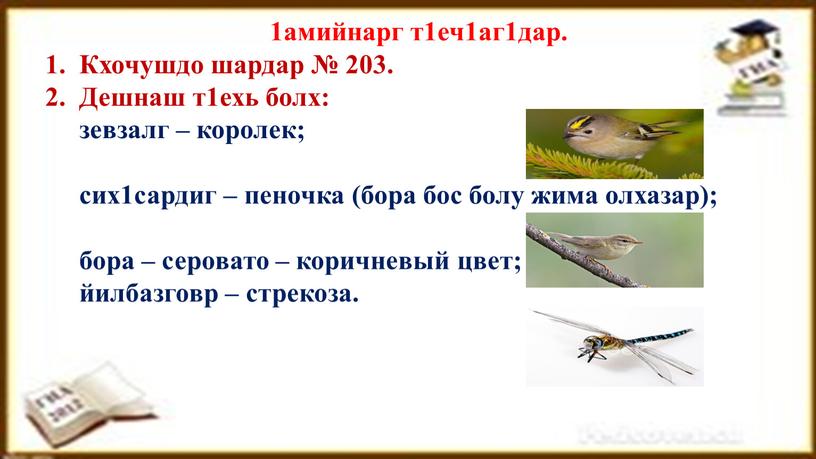 Кхочушдо шардар № 203. 2. Дешнаш т1ехь болх: зевзалг – королек; сих1сардиг – пеночка (бора бос болу жима олхазар); бора – серовато – коричневый цвет;…