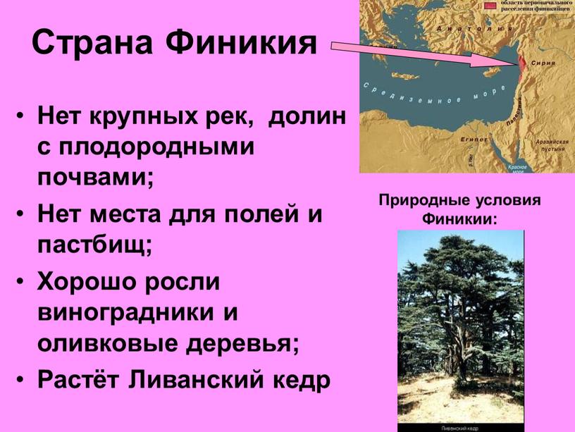 Страна Финикия Нет крупных рек, долин с плодородными почвами;