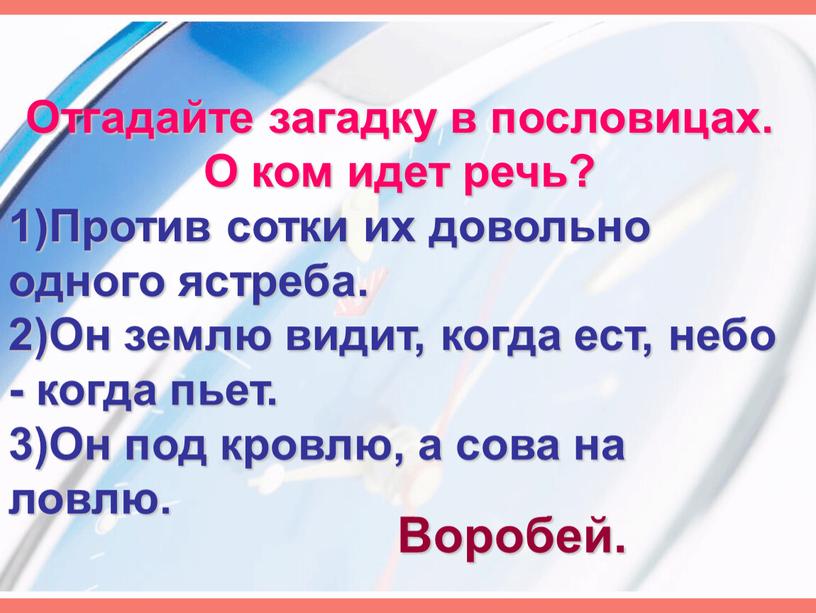 Отгадайте загадку в пословицах