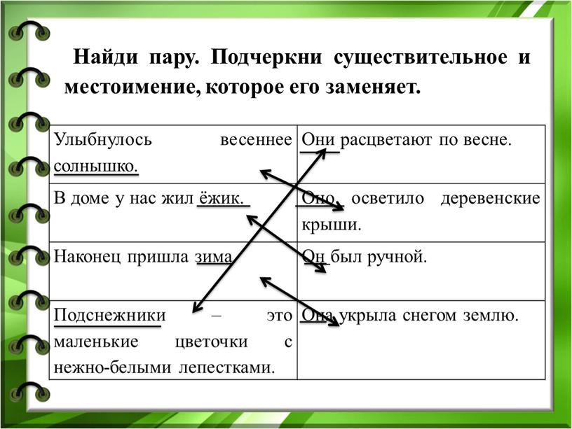 Найди пару. Подчеркни существительное и местоимение, которое его заменяет