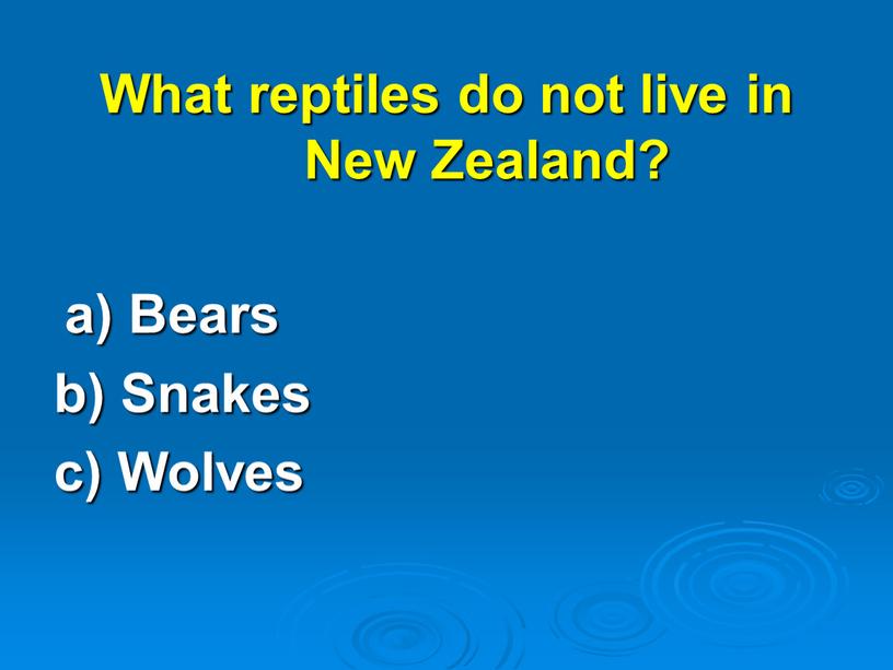 What reptiles do not live in New