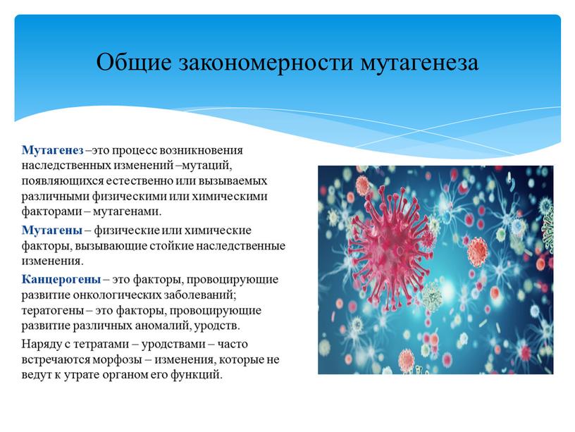 Мутагенез –это процесс возникновения наследственных изменений –мутаций, появляющихся естественно или вызываемых различными физическими или химическими факторами – мутагенами