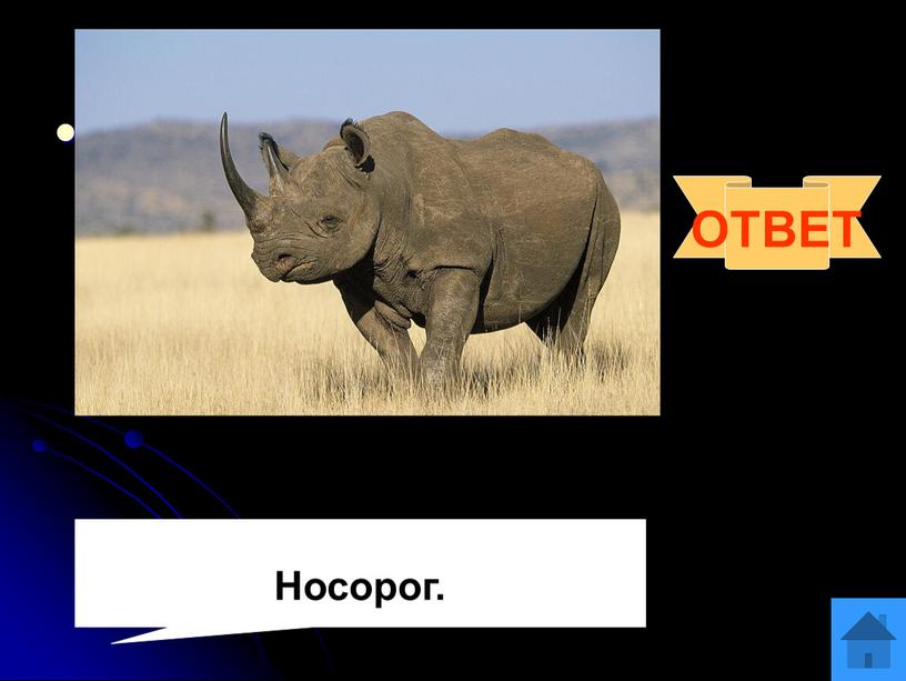 Вопрос 11 Крупное африканское животное, у которого острый нюх и слух, но слабое зрение
