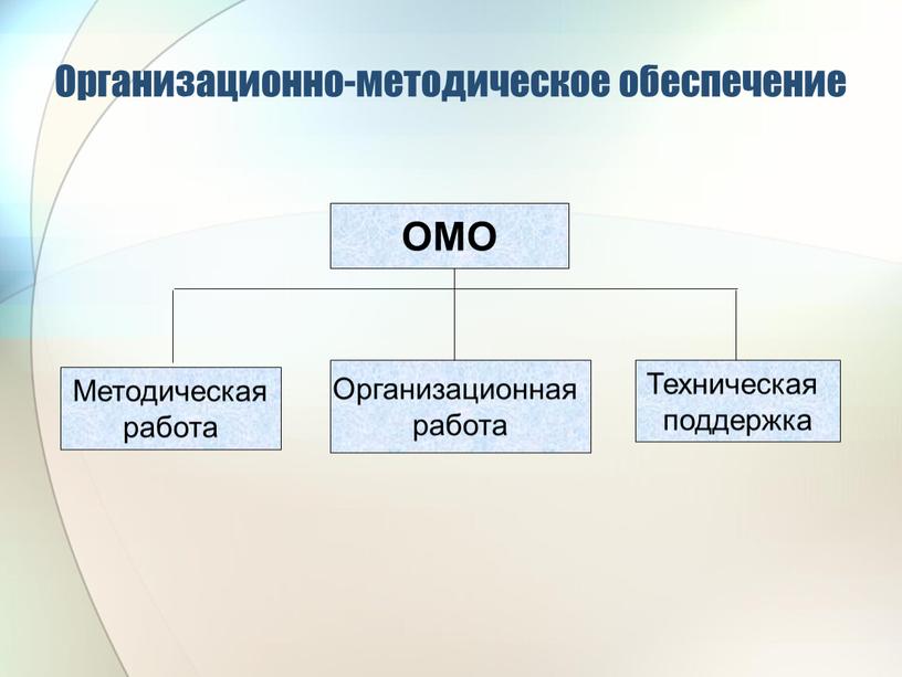 Организационно-методическое обеспечение