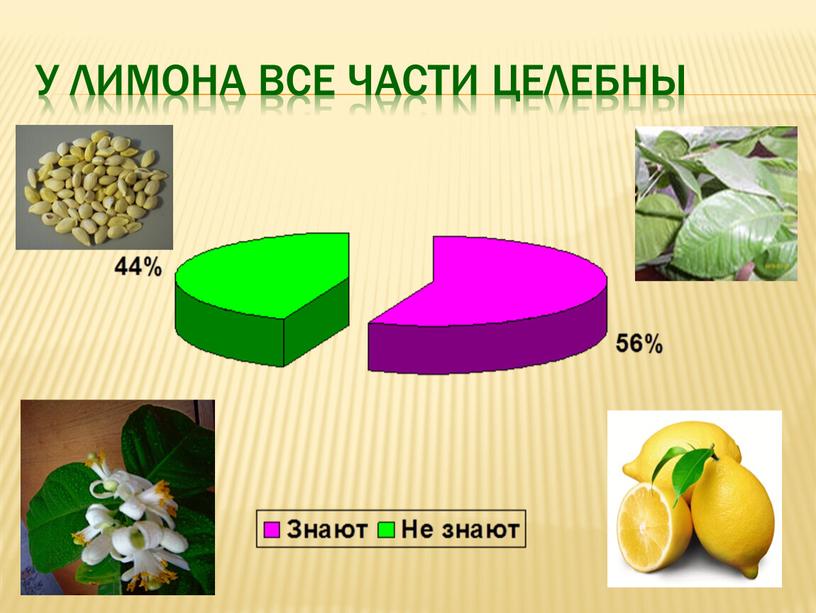 У лимона все части целебны