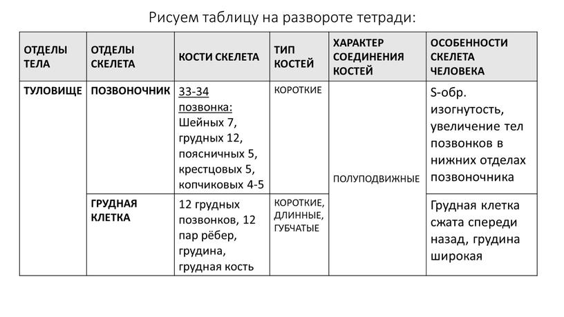 Рисуем таблицу на развороте тетради: