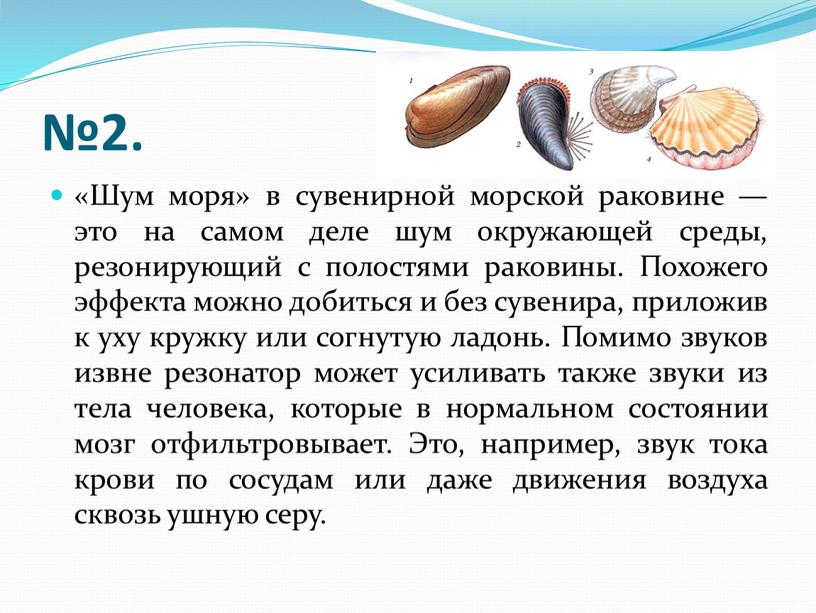 Шум моря» в сувенирной морской раковине — это на самом деле шум окружающей среды, резонирующий с полостями раковины