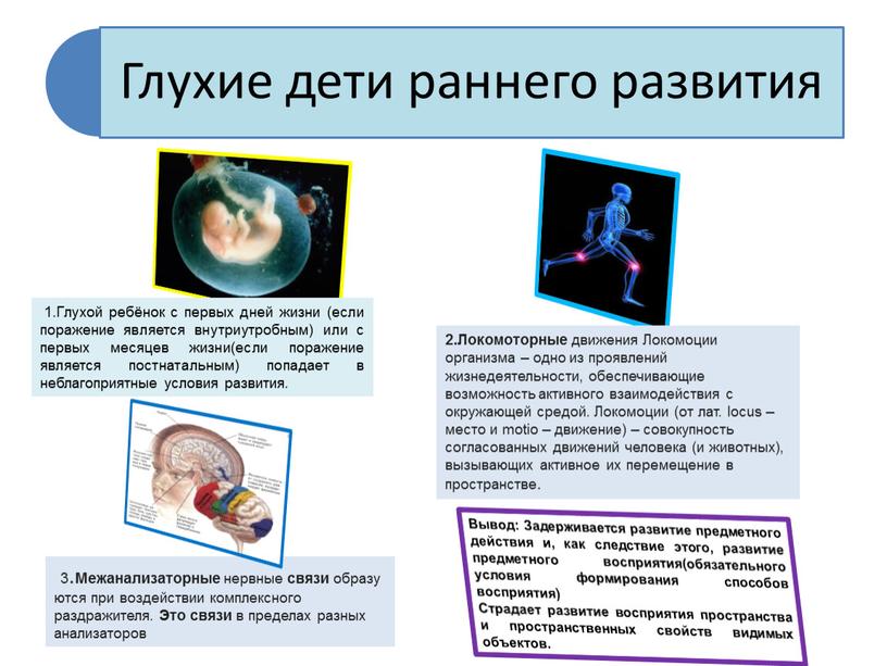 Глухой ребёнок с первых дней жизни (если поражение является внутриутробным) или с первых месяцев жизни(если поражение является постнатальным) попадает в неблагоприятные условия развития