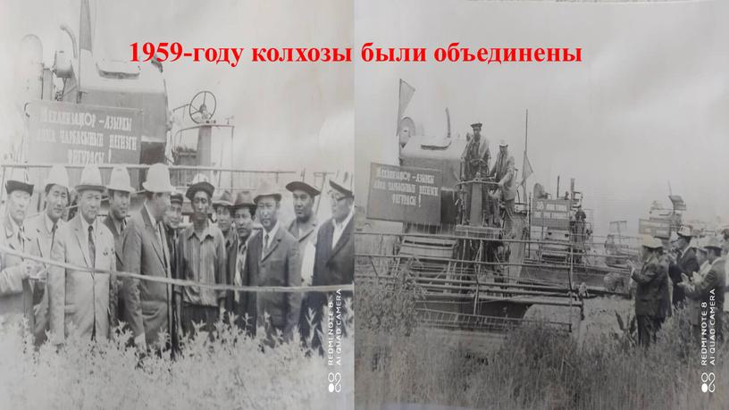 1959-году колхозы были объединены