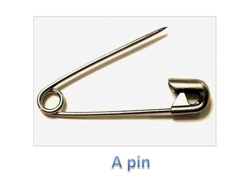 A pin