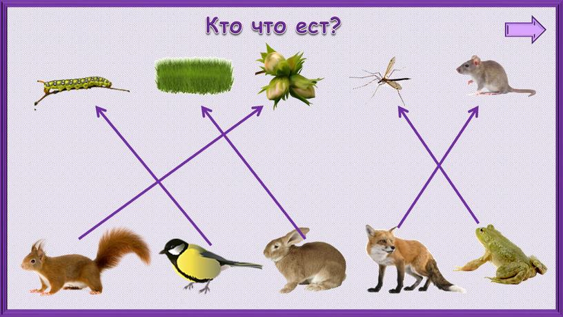 Кто что ест?