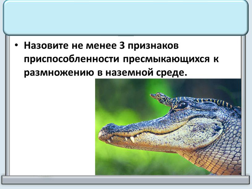 Назовите не менее 3 признаков приспособленности пресмыкающихся к размножению в наземной среде