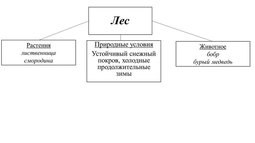 Лес Природные условия Устойчивый снежный покров, холодные продолжительные зимы