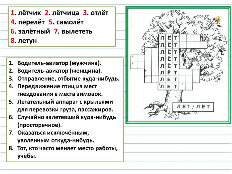 Водитель-авиатор (мужчина). Водитель-авиатор (женщина)