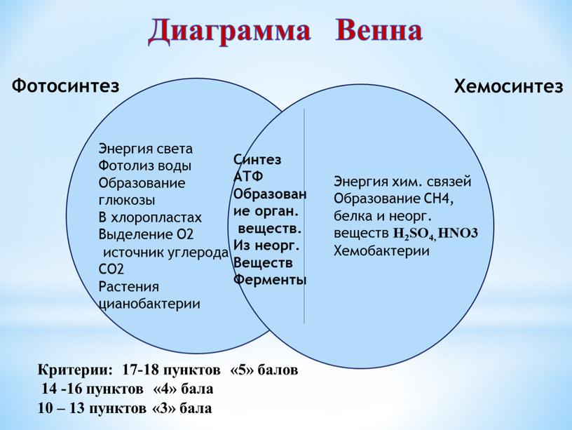 Синтез АТФ Образование орган. веществ