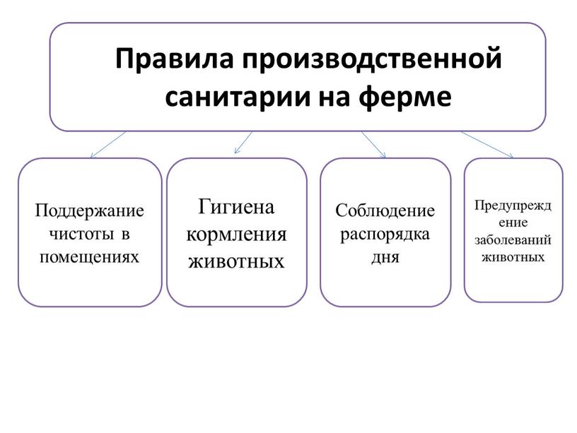 Правила производственной санитарии на ферме