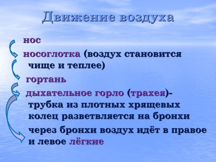 Движение воздуха нос носоглотка (воздух становится чище и теплее) гортань дыхательное горло (трахея)- трубка из плотных хрящевых колец разветвляется на бронхи через бронхи воздух идёт…