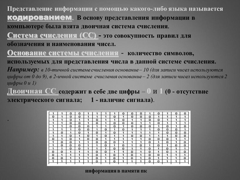 Форма данных которые могут быть обработаны компьютером