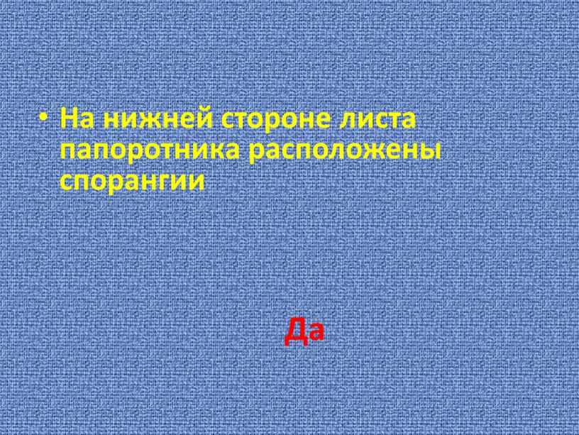 На нижней стороне листа папоротника расположены спорангии