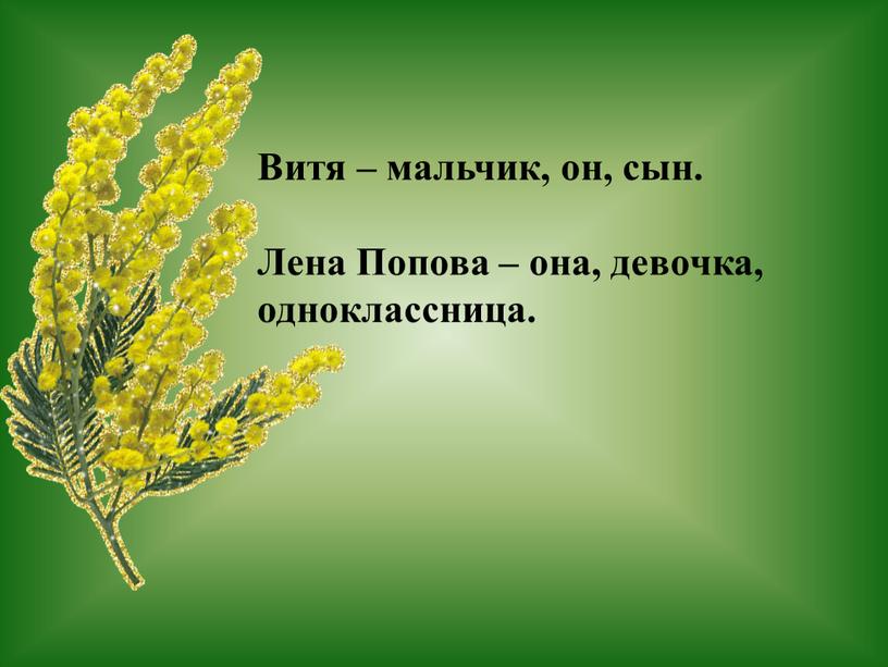 Витя – мальчик, он, сын. Лена Попова – она, девочка, одноклассница