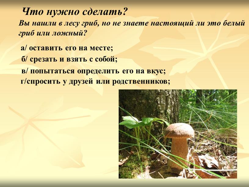 Что нужно сделать? Вы нашли в лесу гриб, но не знаете настоящий ли это белый гриб или ложный? а/ оставить его на месте; б/ срезать…