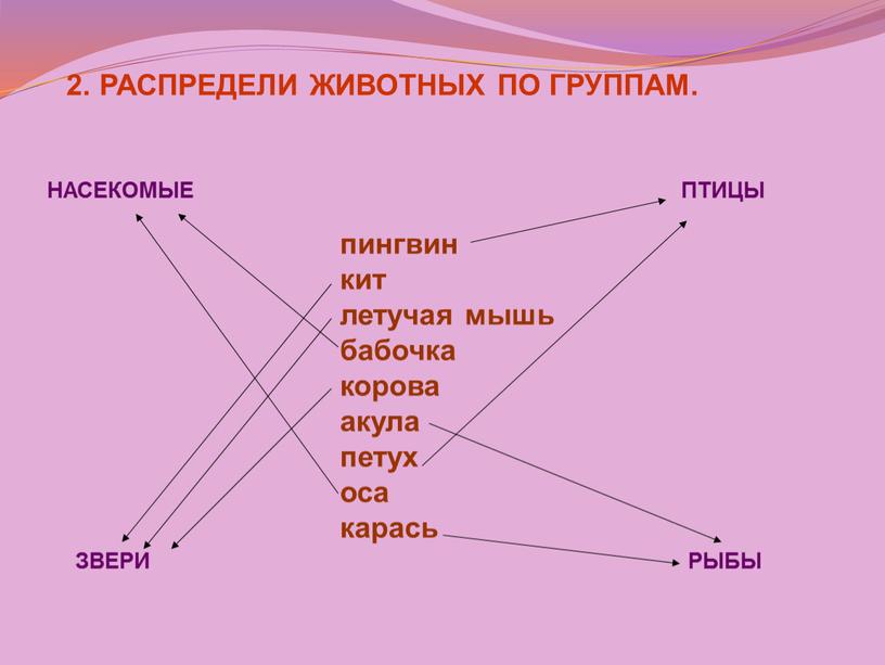 РАСПРЕДЕЛИ ЖИВОТНЫХ ПО ГРУППАМ