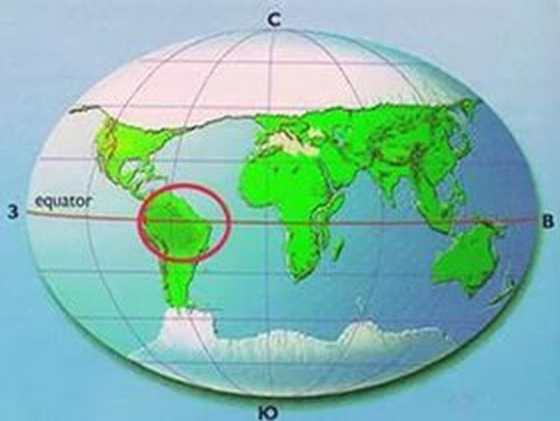 Презентация к уроку "Человек и мир" : Рсатения экваториального леса