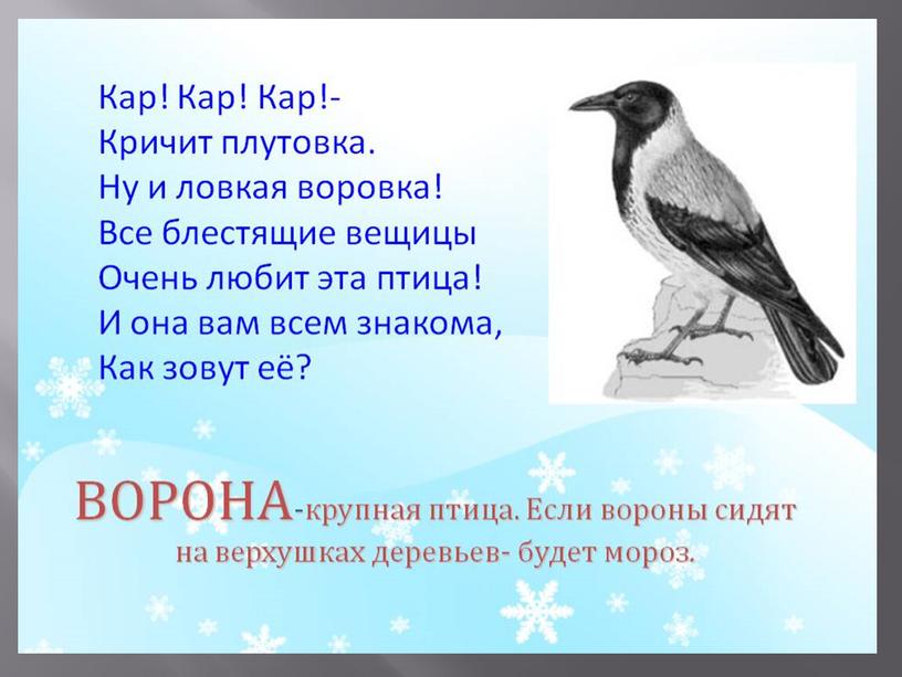 Презентация на тему: "Зимующие птицы".
