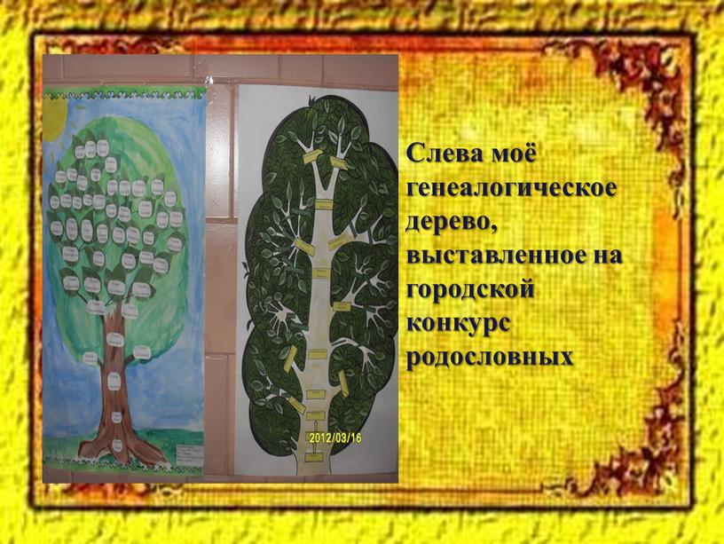 Слева моё генеалогическое дерево, выставленное на городской конкурс родословных