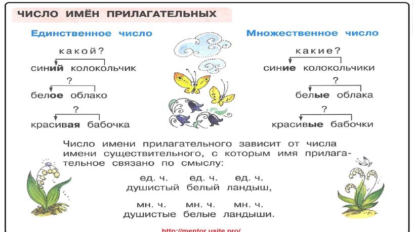 Число имен прилагательных