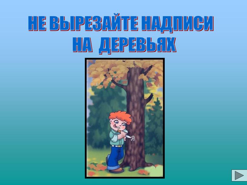 НЕ ВЫРЕЗАЙТЕ НАДПИСИ НА ДЕРЕВЬЯХ