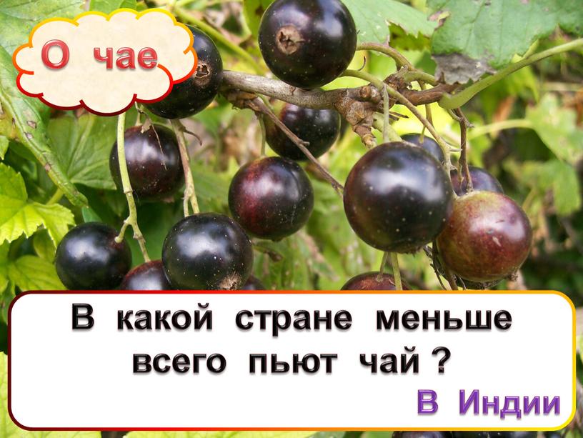 О чае В какой стране меньше всего пьют чай ?