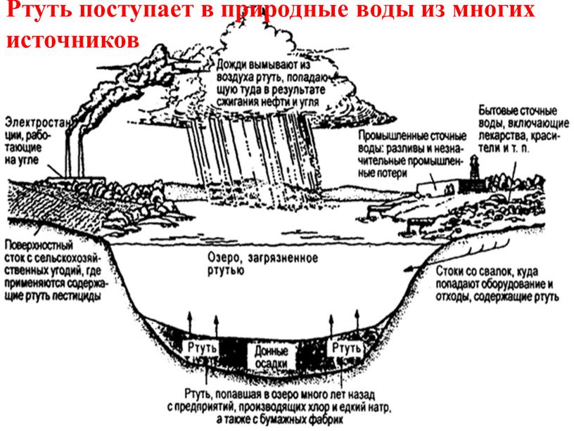 Ртуть поступает в природные воды из многих источников