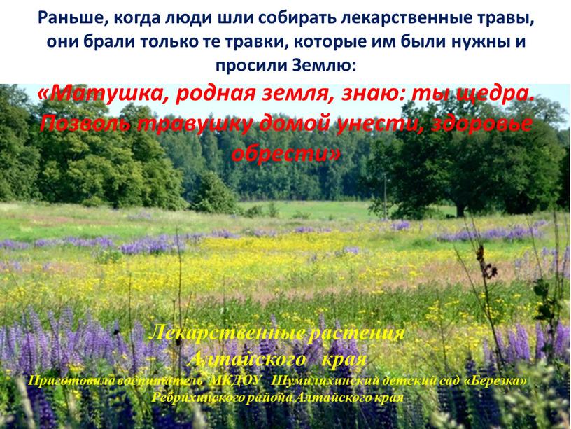 Раньше, когда люди шли собирать лекарственные травы, они брали только те травки, которые им были нужны и просили