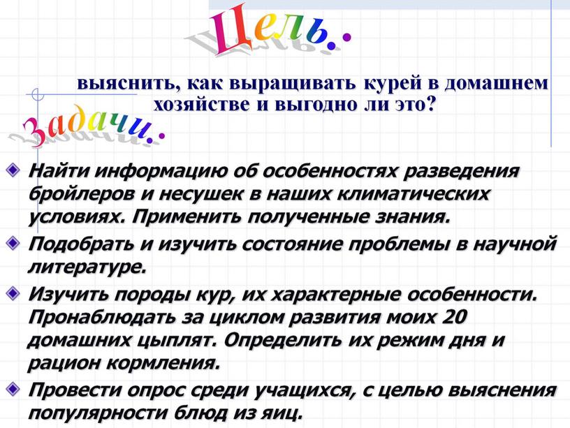 Презентация: «Выведение птицы семейства куриных в домашних условиях»