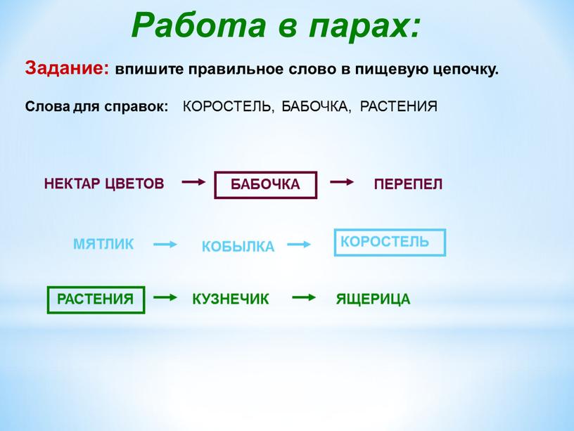 Работа в парах: Задание: впишите правильное слово в пищевую цепочку