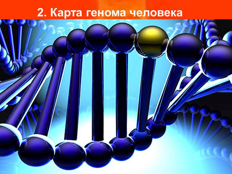 2. Карта генома человека