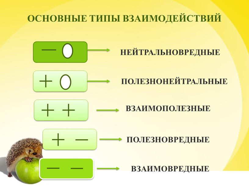 ОСНОВНЫЕ ТИПЫ ВЗАИМОДЕЙСТВИЙ НЕЙТРАЛЬНОВРЕДНЫЕ