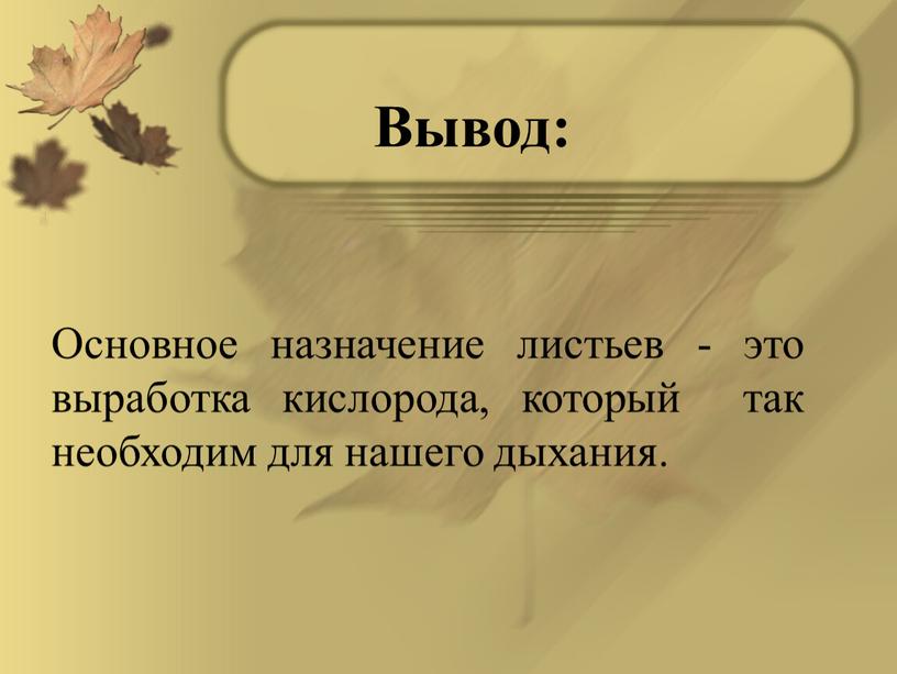 Вывод: Основное назначение листьев - это выработка кислорода, который так необходим для нашего дыхания