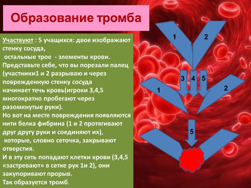 Участвуют : 5 учащихся: двое изображают стенку сосуда, остальные трое - элементы крови