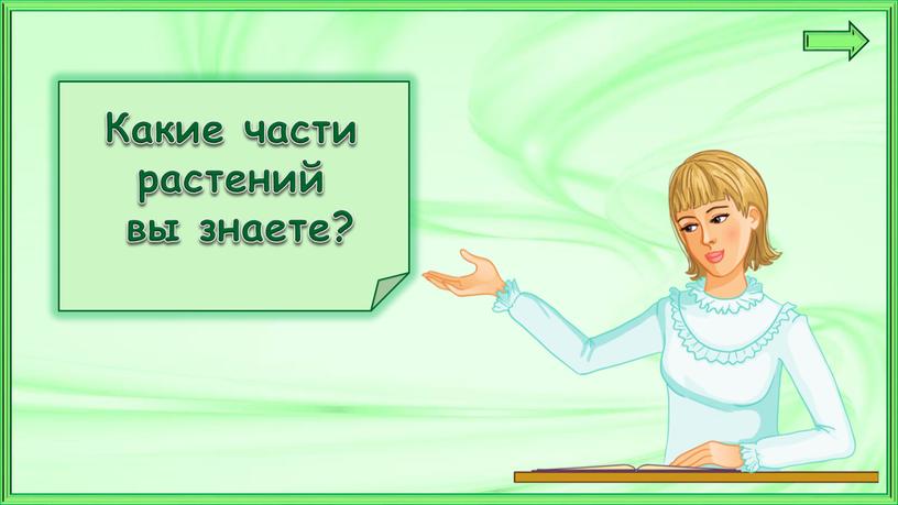 Какие части растений вы знаете?