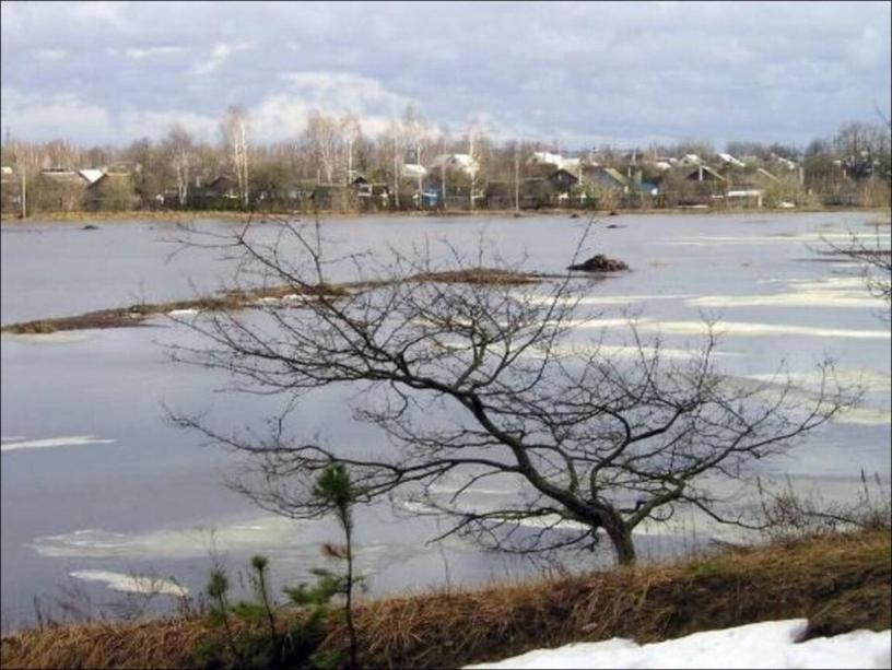 Презентация к уроку окружающего мира во 2 классе "В гости к осени"