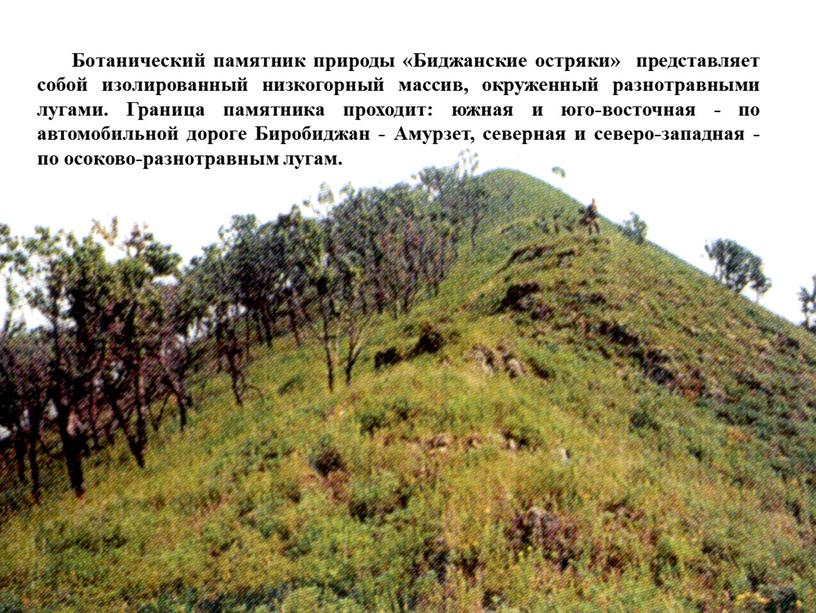 Ботанический памятник природы «Биджанские остряки» представляет собой изолированный низкогорный массив, окруженный разнотравными лугами