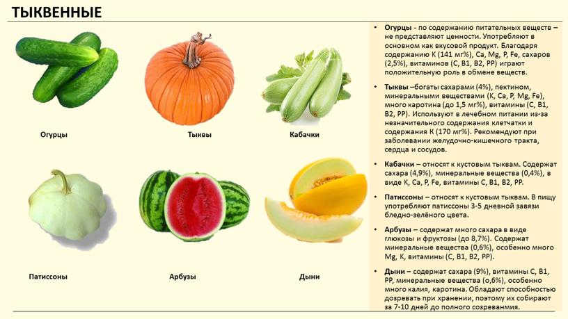 ТЫКВЕННЫЕ Огурцы - по содержанию питательных веществ – не представляют ценности