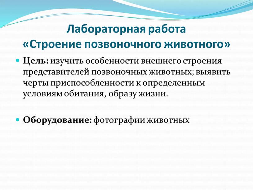 Структуры позвоночных животных