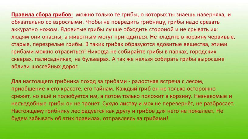 Правила сбора грибов: можно только те грибы, о которых ты знаешь наверняка, и обязательно со взрослыми