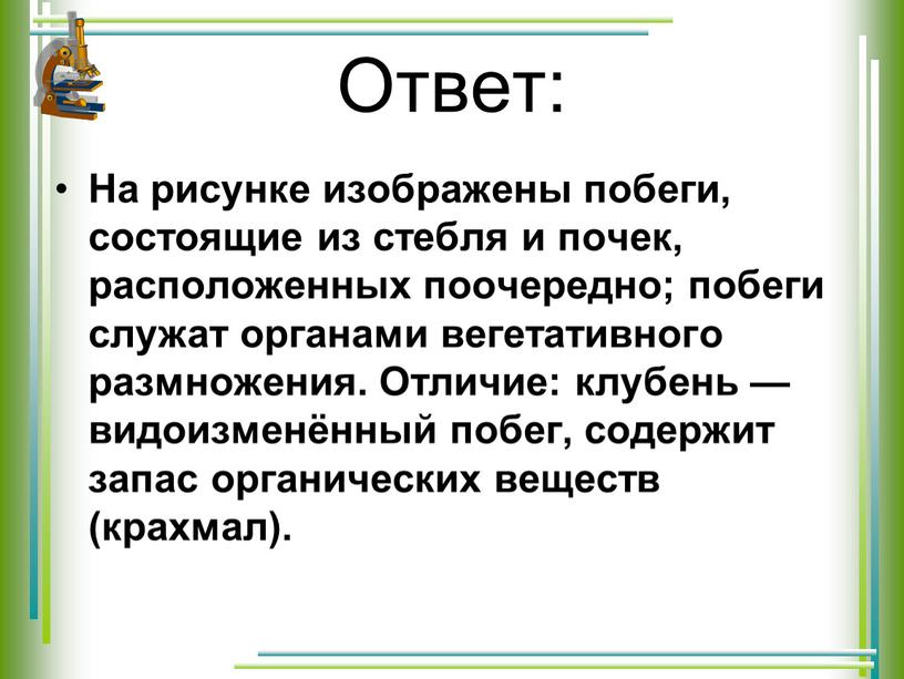 Ответ: На рисунке изображены побеги, состоящие из стебля и почек, расположенных поочередно; побеги служат органами вегетативного размножения