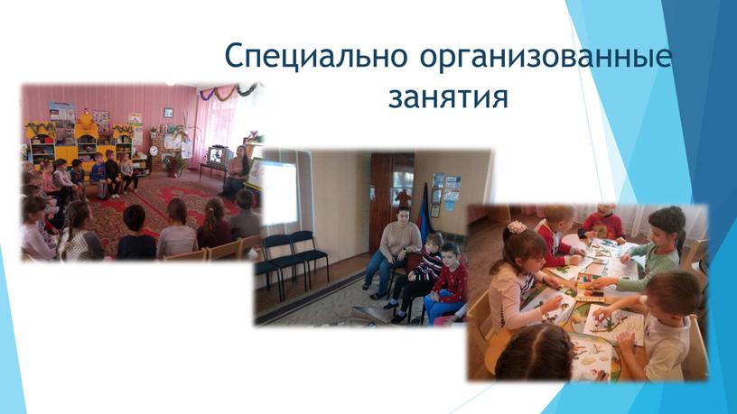 Специально организованные занятия