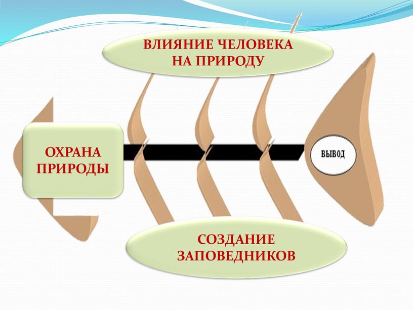 ВЛИЯНИЕ ЧЕЛОВЕКА НА ПРИРОДУ СОЗДАНИЕ