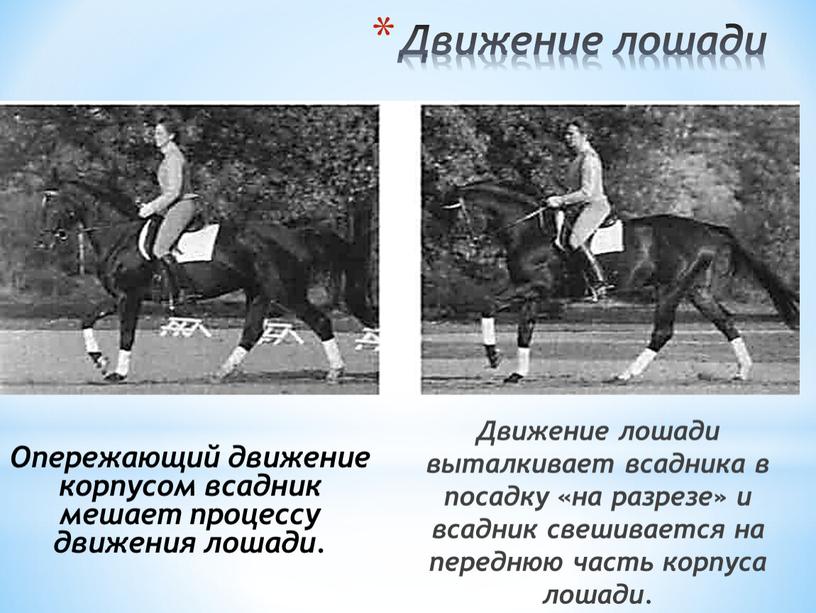 Движение лошади Движение лошади выталкивает всадника в посадку «на разрезе» и всадник свешивается на переднюю часть корпуса лошади